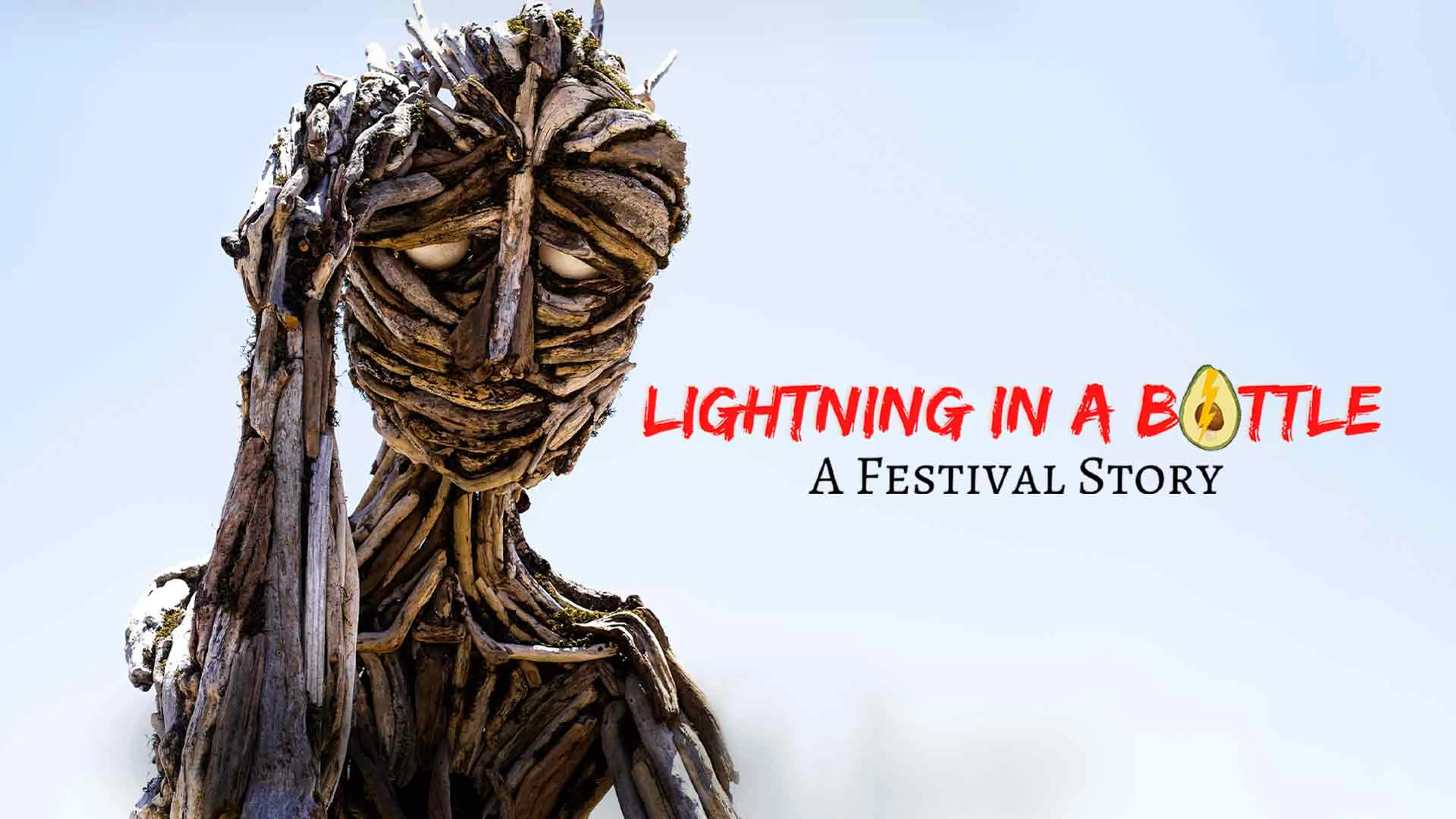 Lightning in a Bottle: A Festival Story poster